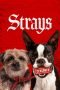 Strays (2023)